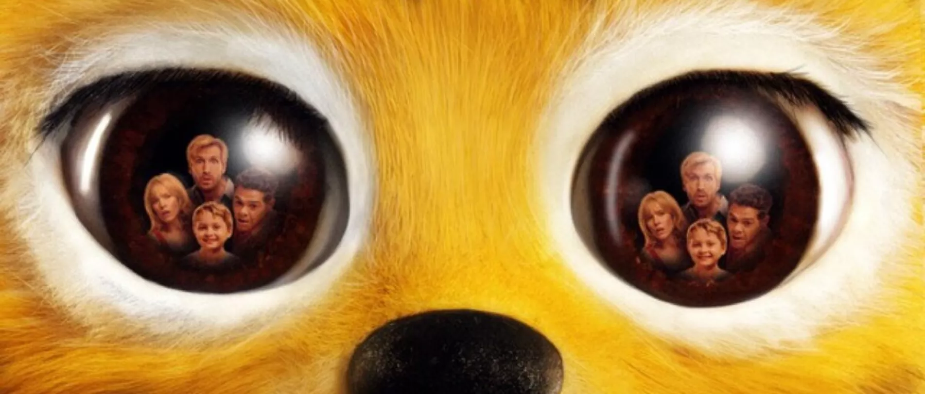 MARSUPILAMI
