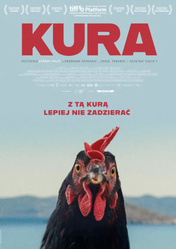 plakat filmu Kura