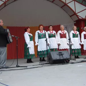 Zdjęcie IX Przegląd Twórczości Seniorów 9