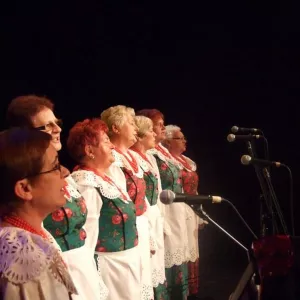 Zdjęcie Przegląd Twórczości Seniorów 1