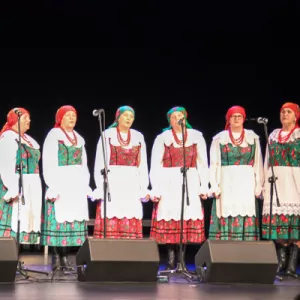 Zdjęcie Przegląd Seniorów 5