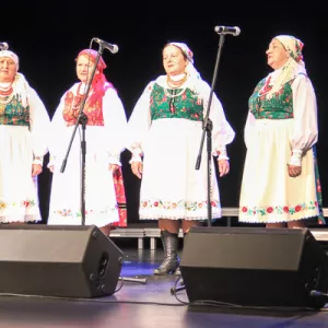 Zdjęcie Przegląd Seniorów 7