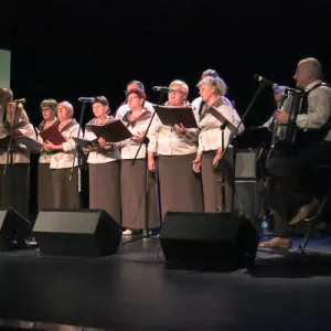 Zdjęcie Przegląd Seniorów 74