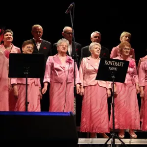 Zdjęcie Przegląd Twórczości Seniorów 13