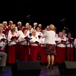 Zdjęcie Przegląd Twórczości Seniorów 15